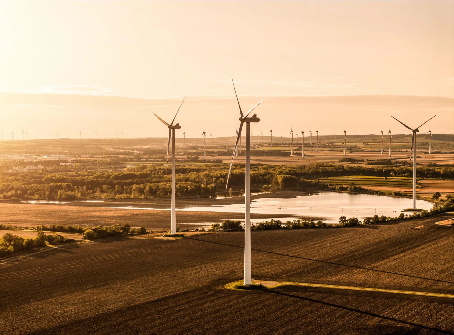 Wind farm in evening light